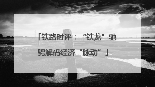 铁路时评：“铁龙”驰骋解码经济“脉动”