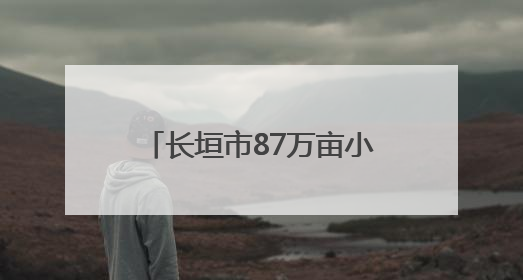 长垣市87万亩小麦开镰收割 机械化作业保障夏粮归仓
