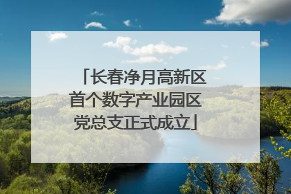 长春净月高新区首个数字产业园区党总支正式成立