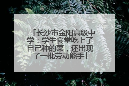 长沙市金阳高级中学：学生食堂吃上了自己种的菜，还出现了一批劳动能手