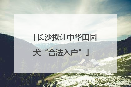 长沙拟让中华田园犬“合法入户”