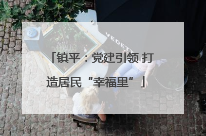 镇平：党建引领 打造居民“幸福里”