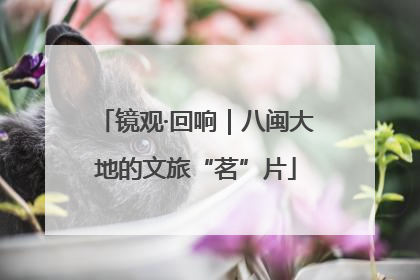 镜观·回响｜八闽大地的文旅“茗”片