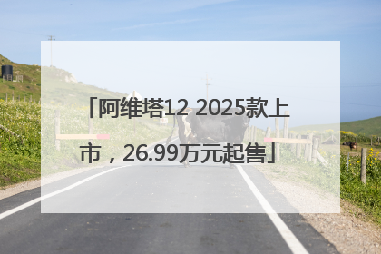 阿维塔12 2025款上市，26.99万元起售