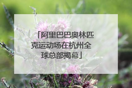 阿里巴巴奥林匹克运动场在杭州全球总部揭幕