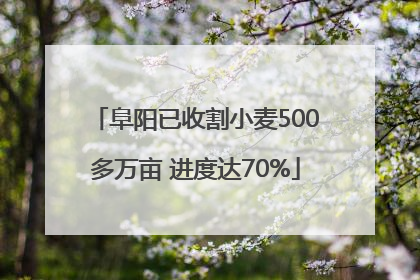 阜阳已收割小麦500多万亩 进度达70%