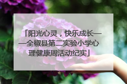阳光心灵，快乐成长——全椒县第二实验小学心理健康周活动纪实