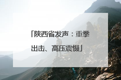 陕西省发声：重拳出击、高压震慑