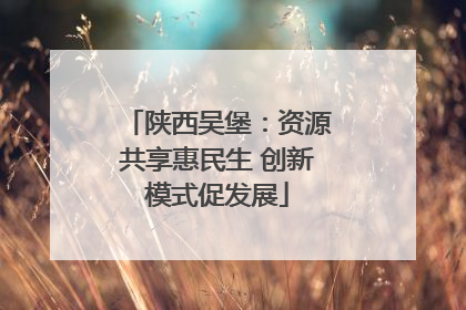 陕西吴堡：资源共享惠民生 创新模式促发展