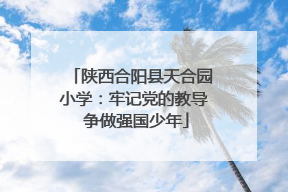 陕西合阳县天合园小学：牢记党的教导 争做强国少年