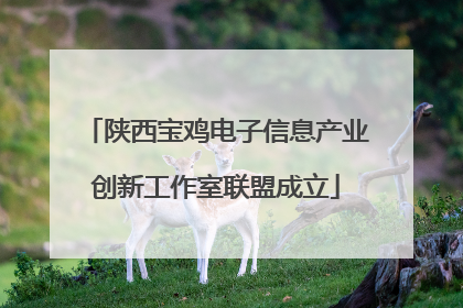 陕西宝鸡电子信息产业创新工作室联盟成立