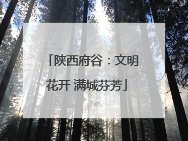 陕西府谷：文明花开 满城芬芳