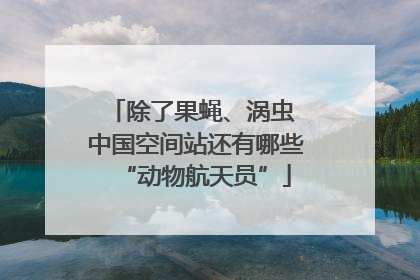 除了果蝇、涡虫 中国空间站还有哪些“动物航天员”