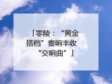 零陵：“黄金搭档”奏响丰收“交响曲”