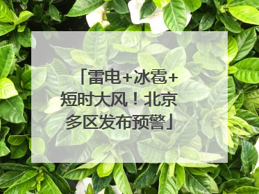 雷电+冰雹+短时大风！北京多区发布预警