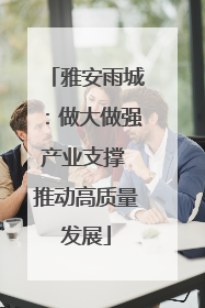 雅安雨城：做大做强产业支撑 推动高质量发展