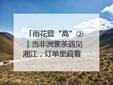 雨花登“高”②｜当非洲紫茶遇见湘江，订单里藏着共富密码