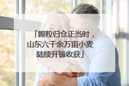 颗粒归仓正当时，山东六千余万亩小麦陆续开镰收获