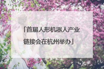 首届人形机器人产业链接会在杭州举办
