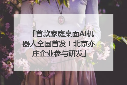 首款家庭桌面AI机器人全国首发！北京亦庄企业参与研发