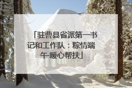 驻曹县省派第一书记和工作队：粽情端午·暖心帮扶