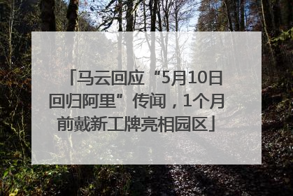 马云回应“5月10日回归阿里”传闻，1个月前戴新工牌亮相园区