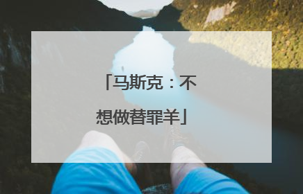 马斯克：不想做替罪羊
