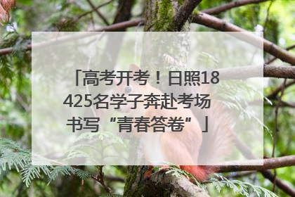 高考开考！日照18425名学子奔赴考场书写“青春答卷”