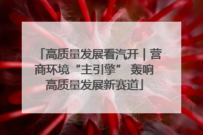 高质量发展看汽开｜营商环境“主引擎” 轰响高质量发展新赛道