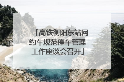 高铁衡阳东站网约车规范停车管理工作座谈会召开