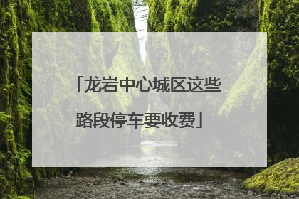 龙岩中心城区这些路段停车要收费