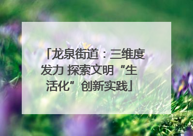 龙泉街道：三维度发力 探索文明“生活化”创新实践
