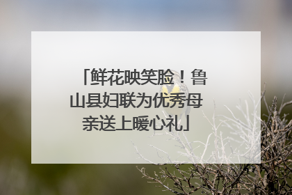 鲜花映笑脸！鲁山县妇联为优秀母亲送上暖心礼
