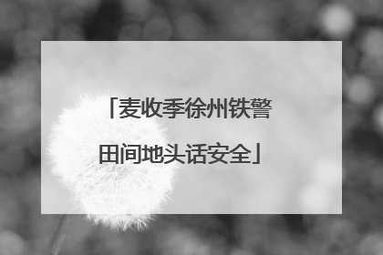麦收季徐州铁警田间地头话安全