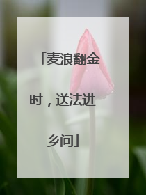 麦浪翻金时，送法进乡间