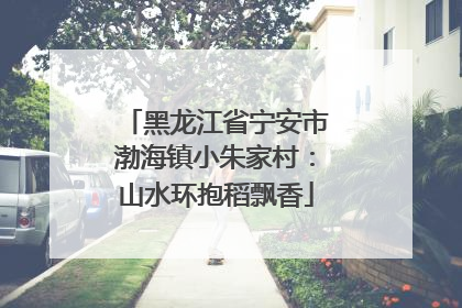 黑龙江省宁安市渤海镇小朱家村：山水环抱稻飘香