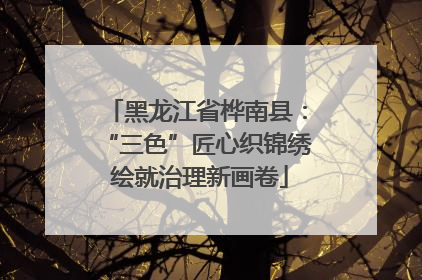 黑龙江省桦南县：“三色”匠心织锦绣 绘就治理新画卷