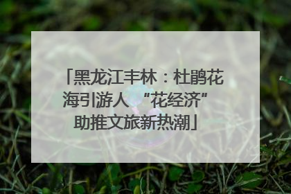 黑龙江丰林：杜鹃花海引游人 “花经济”助推文旅新热潮