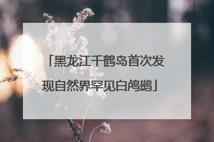 黑龙江千鹤岛首次发现自然界罕见白鸬鹚