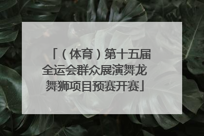 （体育）第十五届全运会群众展演舞龙舞狮项目预赛开赛