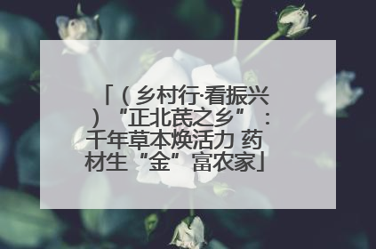 （乡村行·看振兴）“正北芪之乡”：千年草本焕活力 药材生“金”富农家