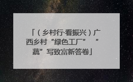 （乡村行·看振兴）广西乡村“绿色工厂” “蔬”写致富新答卷