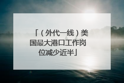 （外代一线）美国最大港口工作岗位减少近半