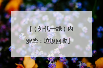 （外代一线）内罗毕：垃圾回收
