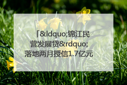 “锦江民营发展贷”落地两月授信1.7亿元，惠及118家民企