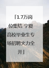 1.7万岗位集结 宁夏高校毕业生专场招聘火力全开