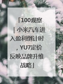100观察｜小米汽车进入盈利倒计时，YU7定价反映品牌升维战略
