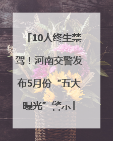 10人终生禁驾！河南交警发布5月份“五大曝光”警示
