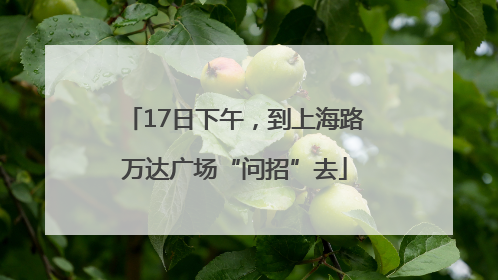 17日下午，到上海路万达广场“问招”去