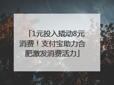 1元投入撬动8元消费！支付宝助力合肥激发消费活力